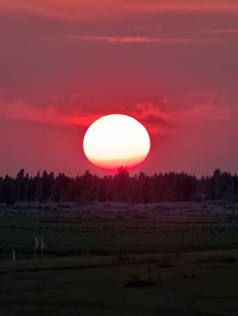 A huge red sun setting behind trees